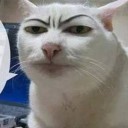 สมาชิกหมายเลข 2258902