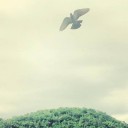 สมาชิกหมายเลข 2650413