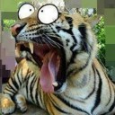 สมาชิกหมายเลข 2650855