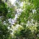 สมาชิกหมายเลข 3057740