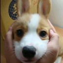 สมาชิกหมายเลข 1018992