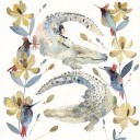 สมาชิกหมายเลข 1019189