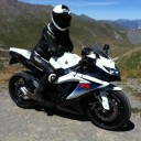 ลูกหมูกิมลี่