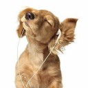 สมาชิกหมายเลข 1179204