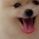 สมาชิกหมายเลข 1891413