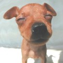 สมาชิกหมายเลข 3062271