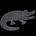 ในนามีจระเข้