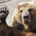 สมาชิกหมายเลข 958968