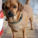 สมาชิกหมายเลข 3062878