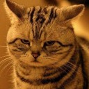 คุณข้าว