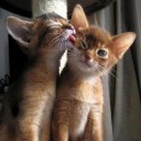 มองต่ำเราเหลือ มองเหนือเราขาด