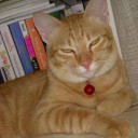 สมาชิกหมายเลข 906838