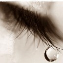 สมาชิกหมายเลข 997033