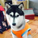 สมาชิกหมายเลข 1852814