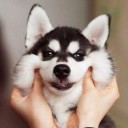 ครึ่งหนึ่งของความว่างเปล่า