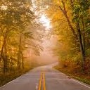 สมาชิกหมายเลข 2229436