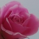 สมาชิกหมายเลข 2624275