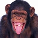 สมาชิกหมายเลข 1425155