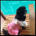 สมาชิกหมายเลข 1141678