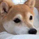 สมาชิกหมายเลข 1840464