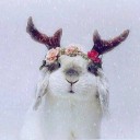 สมาชิกหมายเลข 3525920