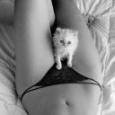 สมาชิกหมายเลข 2261152