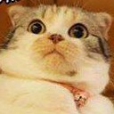 สมาชิกหมายเลข 2651349