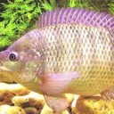 สมาชิกหมายเลข 2652316