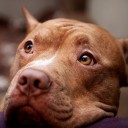 สมาชิกหมายเลข 829712