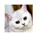 สมาชิกหมายเลข 2751991