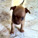 สมาชิกหมายเลข 1016808