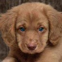 สมาชิกหมายเลข 1851792