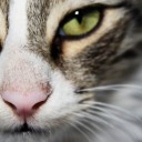 สมาชิกหมายเลข 1054081