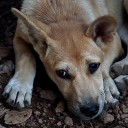 สมาชิกหมายเลข 2261666