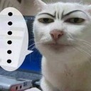 สมาชิกหมายเลข 2684811