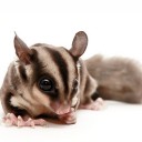 สมาชิกหมายเลข 3064858