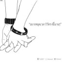 สมาชิกหมายเลข 3526998