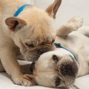 สมาชิกหมายเลข 1021973