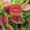 สมาชิกหมายเลข 1421422