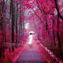 สมาชิกหมายเลข 2261990