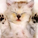 สมาชิกหมายเลข 1005206