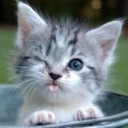 สมาชิกหมายเลข 1022339