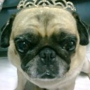 สมาชิกหมายเลข 1575388