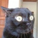 สมาชิกหมายเลข 1619508