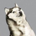 สมาชิกหมายเลข 1816855