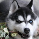 สมาชิกหมายเลข 3505851