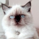 สมาชิกหมายเลข 1018746