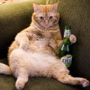 สมาชิกหมายเลข 1021602