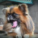 สมาชิกหมายเลข 1429735