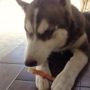 สมาชิกหมายเลข 1430699